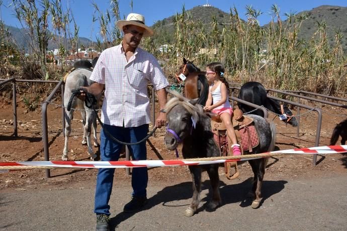 Feria de ganado, misa y procesión de San Miguel