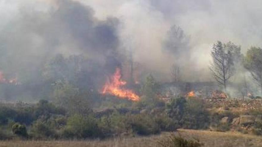 Un incendio arrasa unas 11 hectáreas del parque natural de la Serra d&#039;Espadà