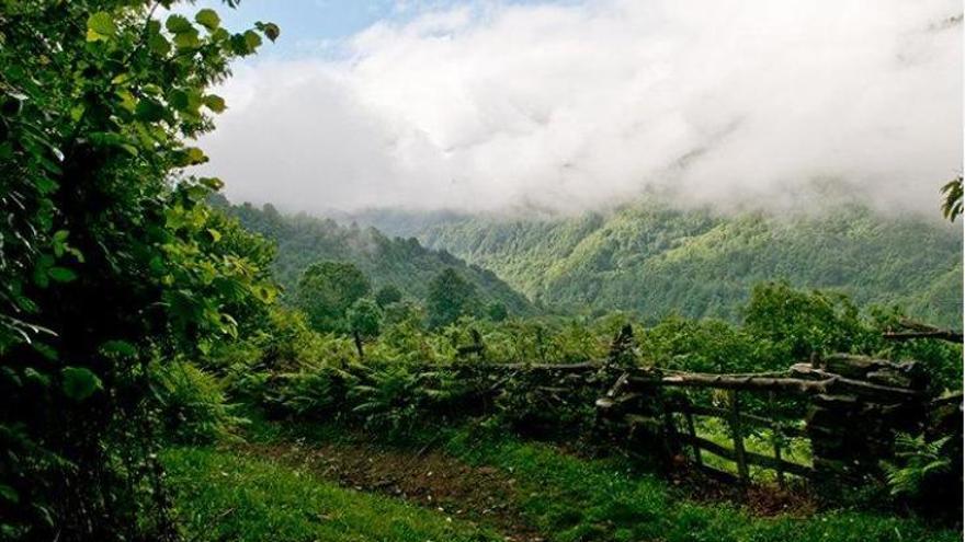 Ruta circular Santibáñez de Murias: una experiencia para toda la familia en la que puedes disfrutar de increíbles vistas arropadas por bosque autóctono