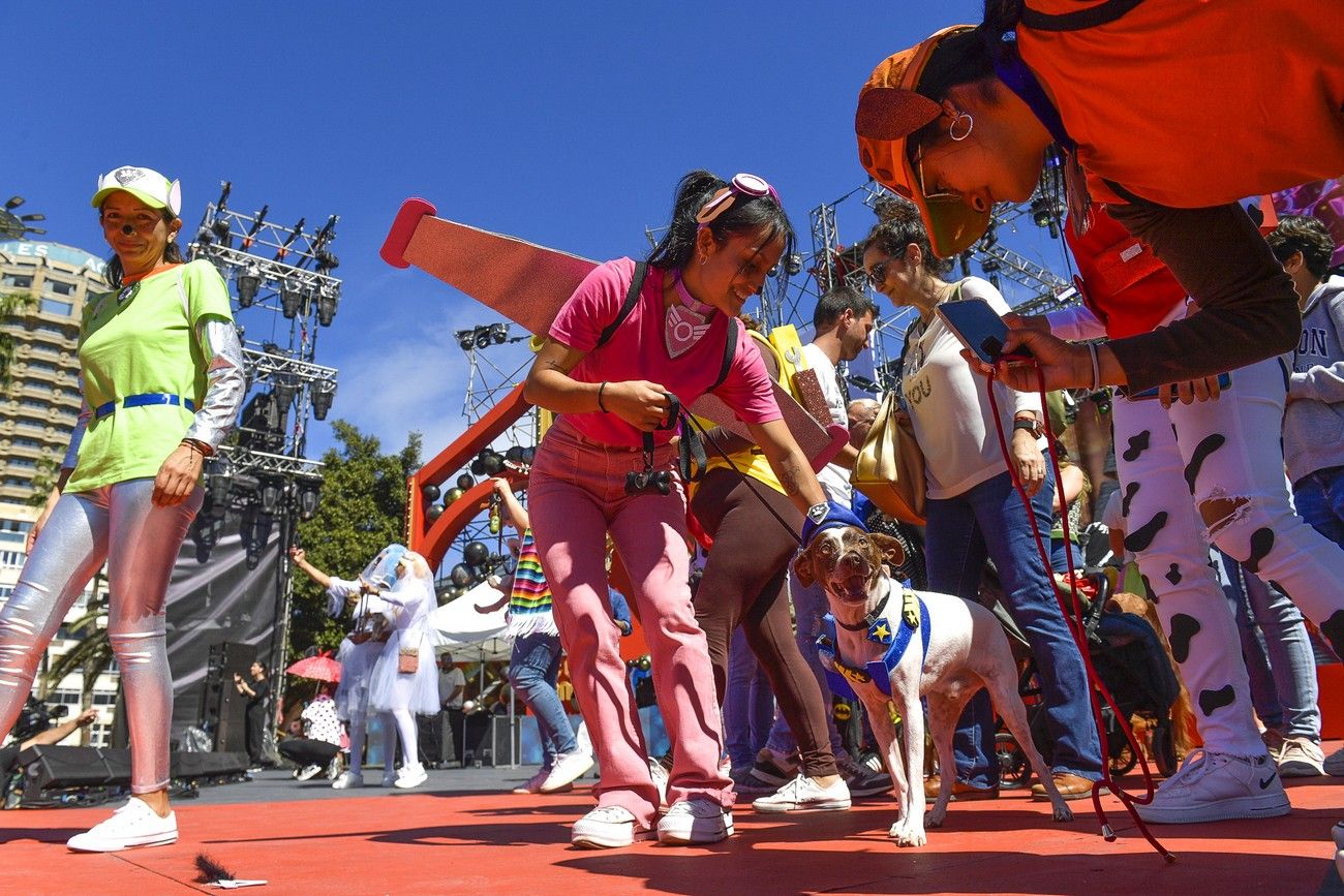 Carnaval 2023: Carnaval canino