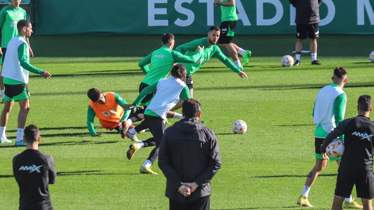 Los jugadores del Elche, durante un entrenamiento en el campo Díez Iborra