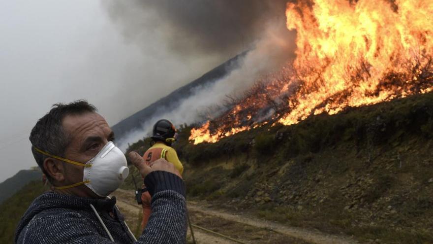 Octubre devastador para los montes asturianos: quemaron 12.825 hectáreas