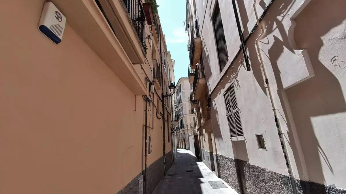 Der Vorfall ereignete sich im Carrer Sant Andreu in Palma.