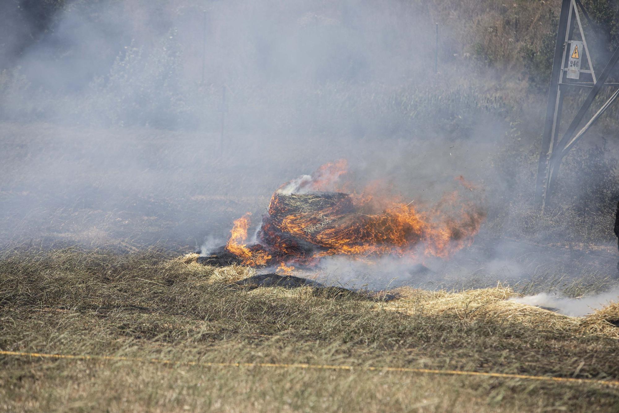 Incendi forestal a Sils, en fotos