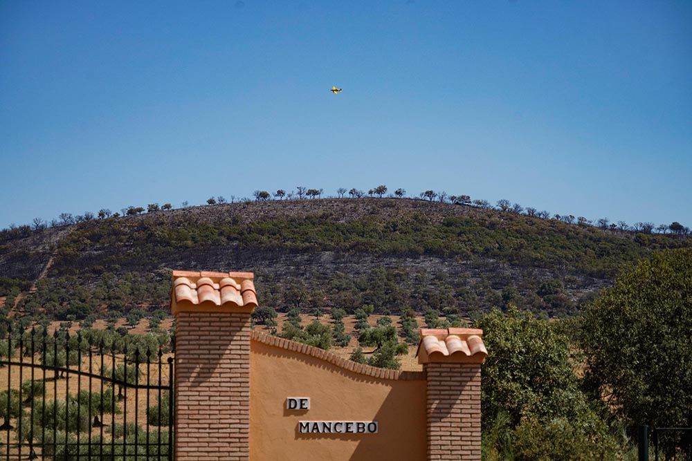 El incendio del Calatraveño arrasa zonas de gran valor ambiental