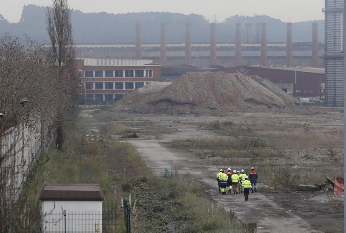 Una delegación de trabajadores del Puerto camina por los solares liberados de las viejas Baterías.