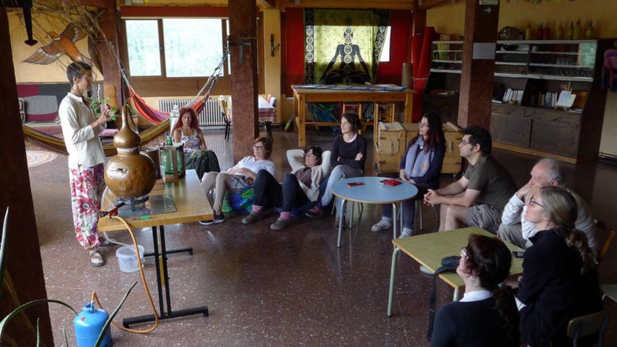 Sessió del taller de destil·lació d’espígol que acollirà la fira | CABANYA BOSCANA