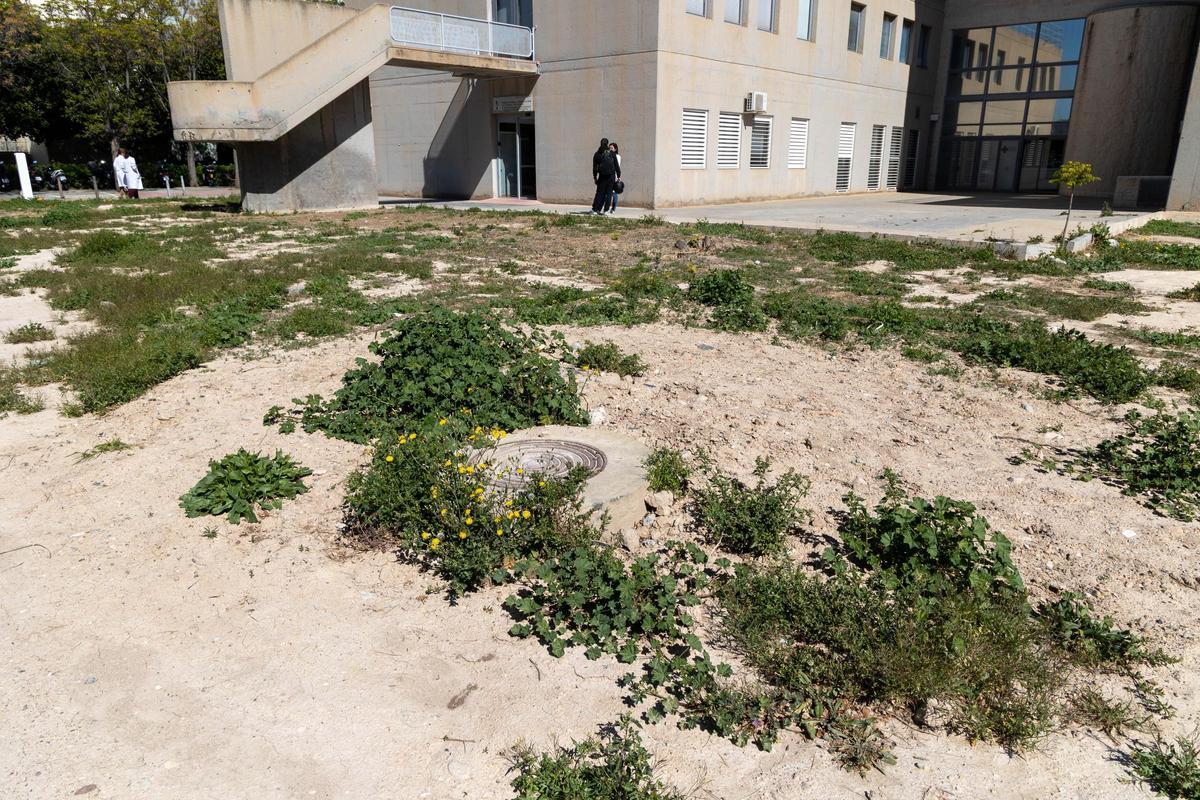 Espacio donde estaba previsto construir el nuevo centro de día de oncología del Hospital de Sant Joan