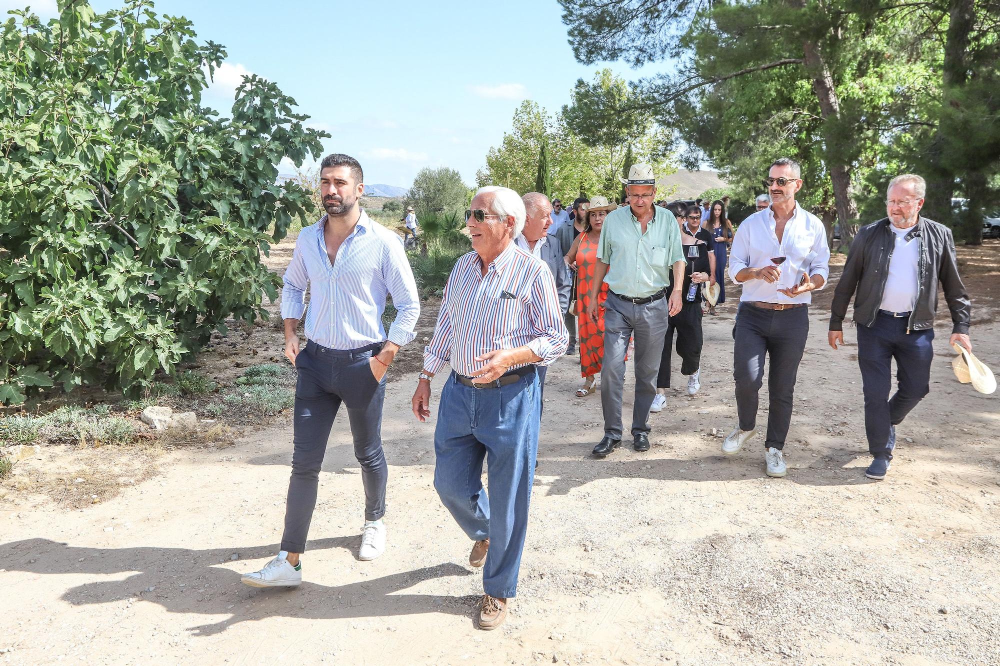 El vino afronta la campaña con menos producción y el temor a una caída de ventas