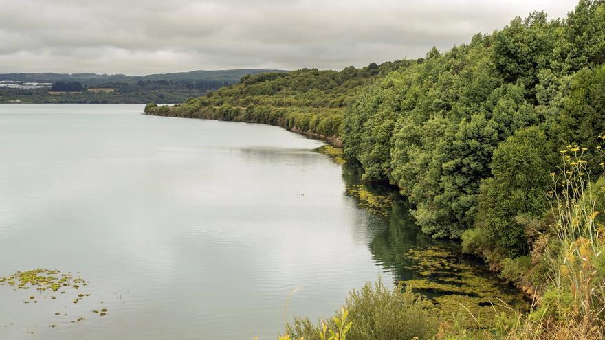 Ence proyecta en As Pontes una instalación pionera a nivel mundial de producción de fibras recicladas textiles y papeleras que generará más de 400 empleos