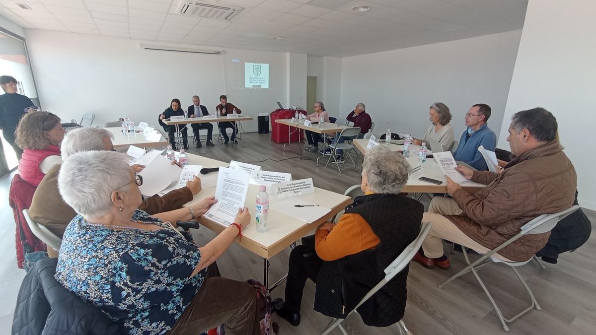 Imagen de la sesión plenaria del Consejo Municipal del Mayor, en Las Palmas de Gran Canaria, celebrada este miércoles.