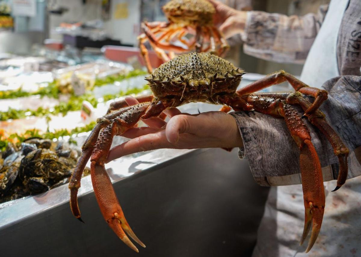 Marisco fresco en el mercado. | Jose Luis Fernández