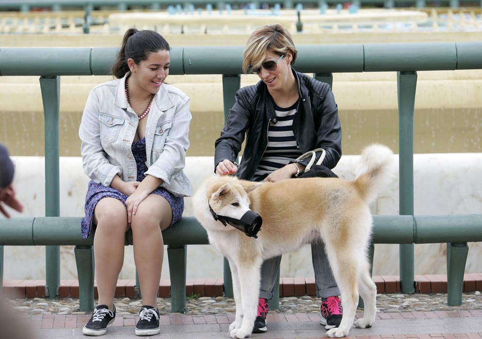 La marcha en apoyo de los perros potencialmente peligrosos transcurrió entre la plaza de la Constitución y la plaza de la Marina.