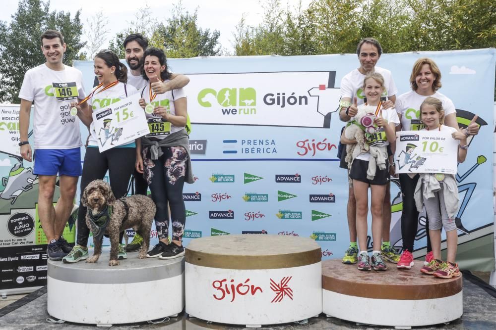 "Can We Run": Deporte, perros y solidaridad toman Gijón