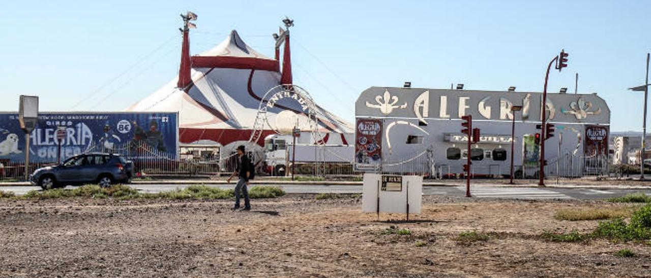 Montaje de la carpa del circo Alegría, ayer en Puerto del Rosario.