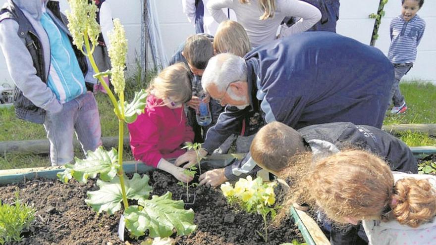 El Ceip Cervantes y su plan contra el cambio climático