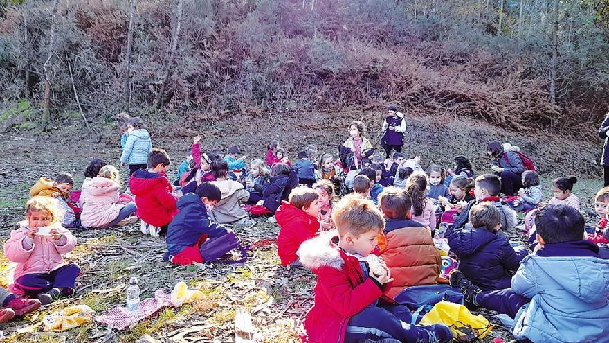 Un grupo de rapaces nas actividades grupais que fomenta a Aula da Natureza. Foto: CDA
