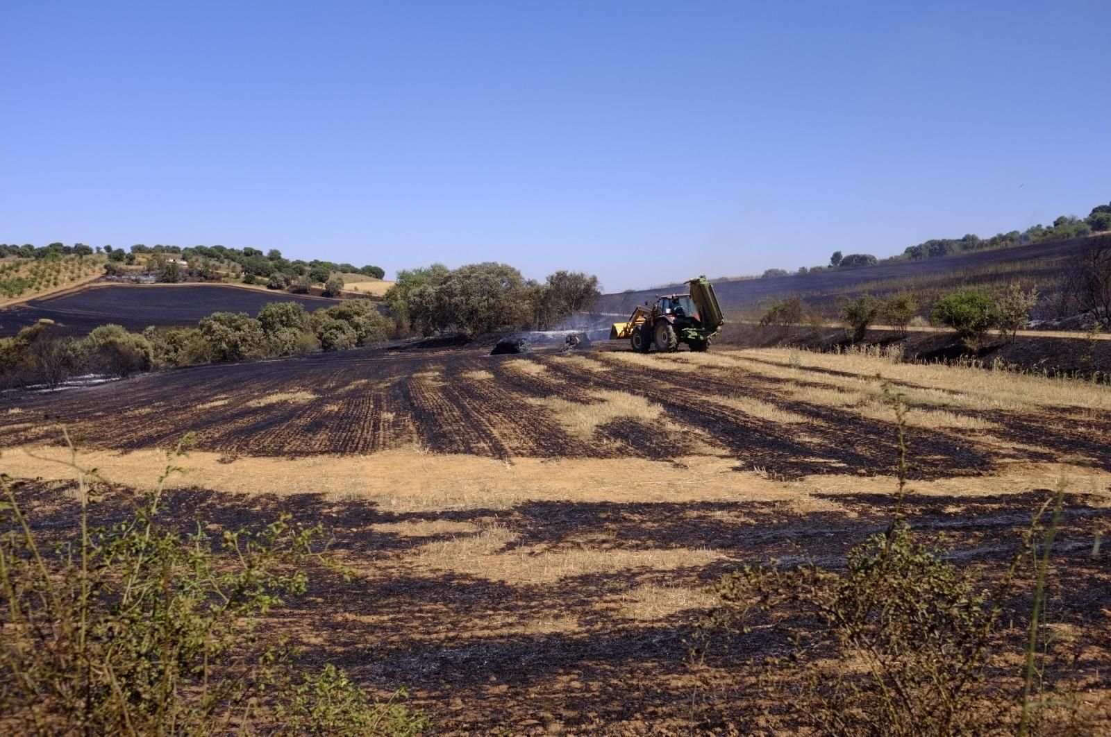 GALERÍA | El incendio forestal de Manganeses de la Polvorosa en imágenes