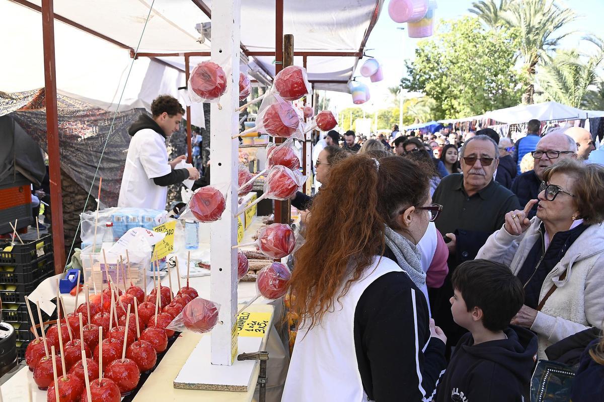 Romeria de San Antón en Elche