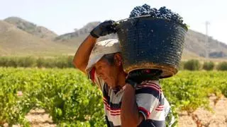 El vino regional interpela a los murcianos ante las amenazas de Trump