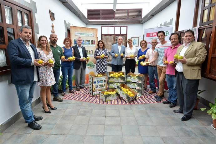 CONVENIO SPAR PRODUCTORES NARANJAS