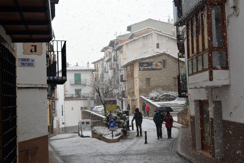 Morella