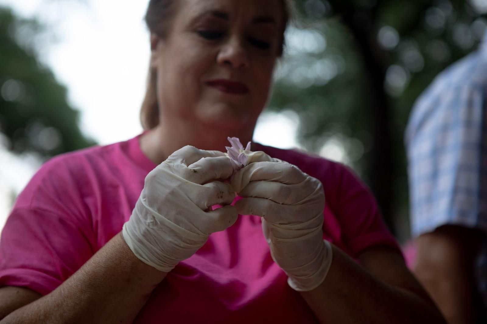 Las carrozas listas para la Batalla de Flores