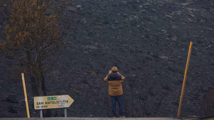 Zona arrasada por el fuego en el Pozo de las Mujeres Muertas, entre Cangas del Narcea e Ibias.