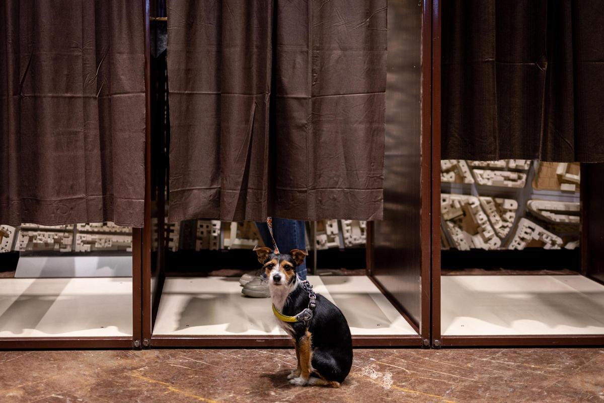 En imágenes | Así transcurre la jornada electoral en Aragón