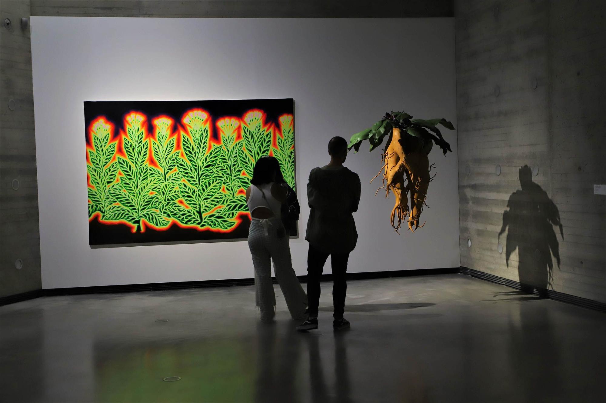 "Sombra verde" de Fedrico Guzmán en el C3A
