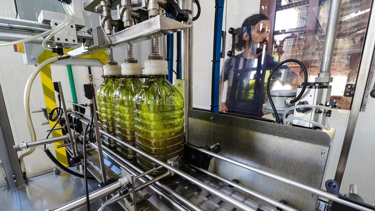 Envasado de aceite de oliva.