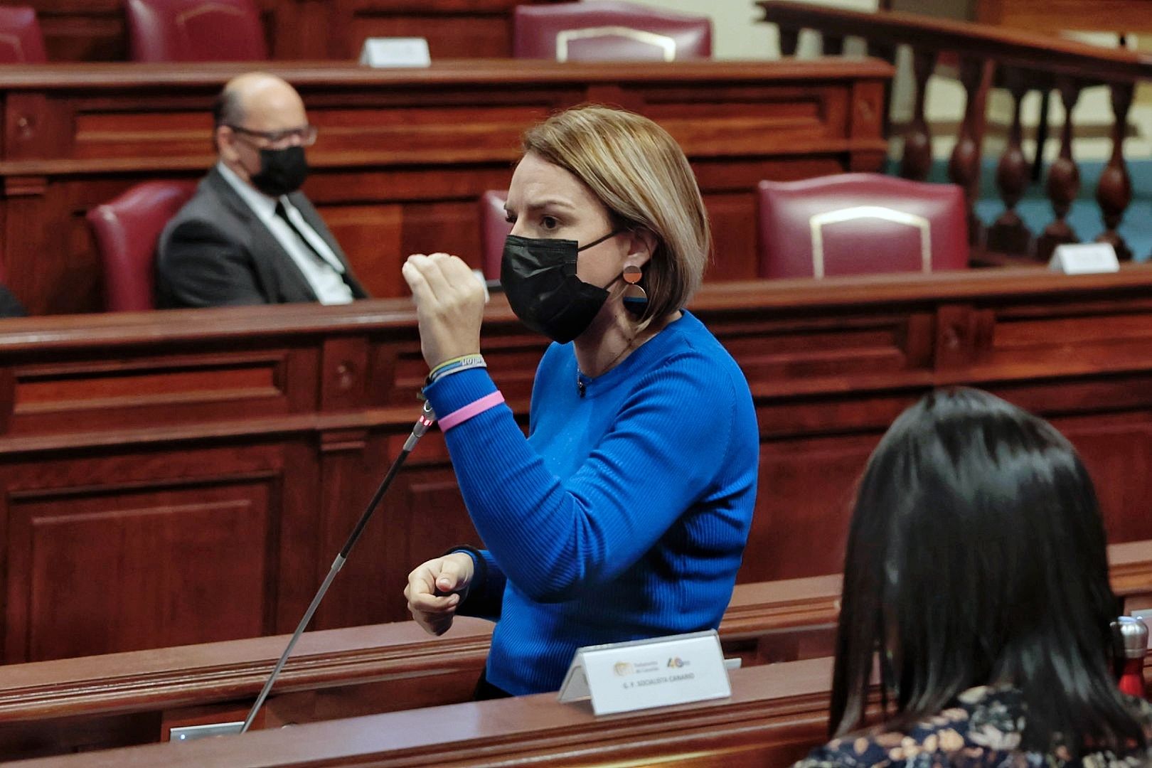 Pleno del Parlamento de Canarias (08/02/2022)