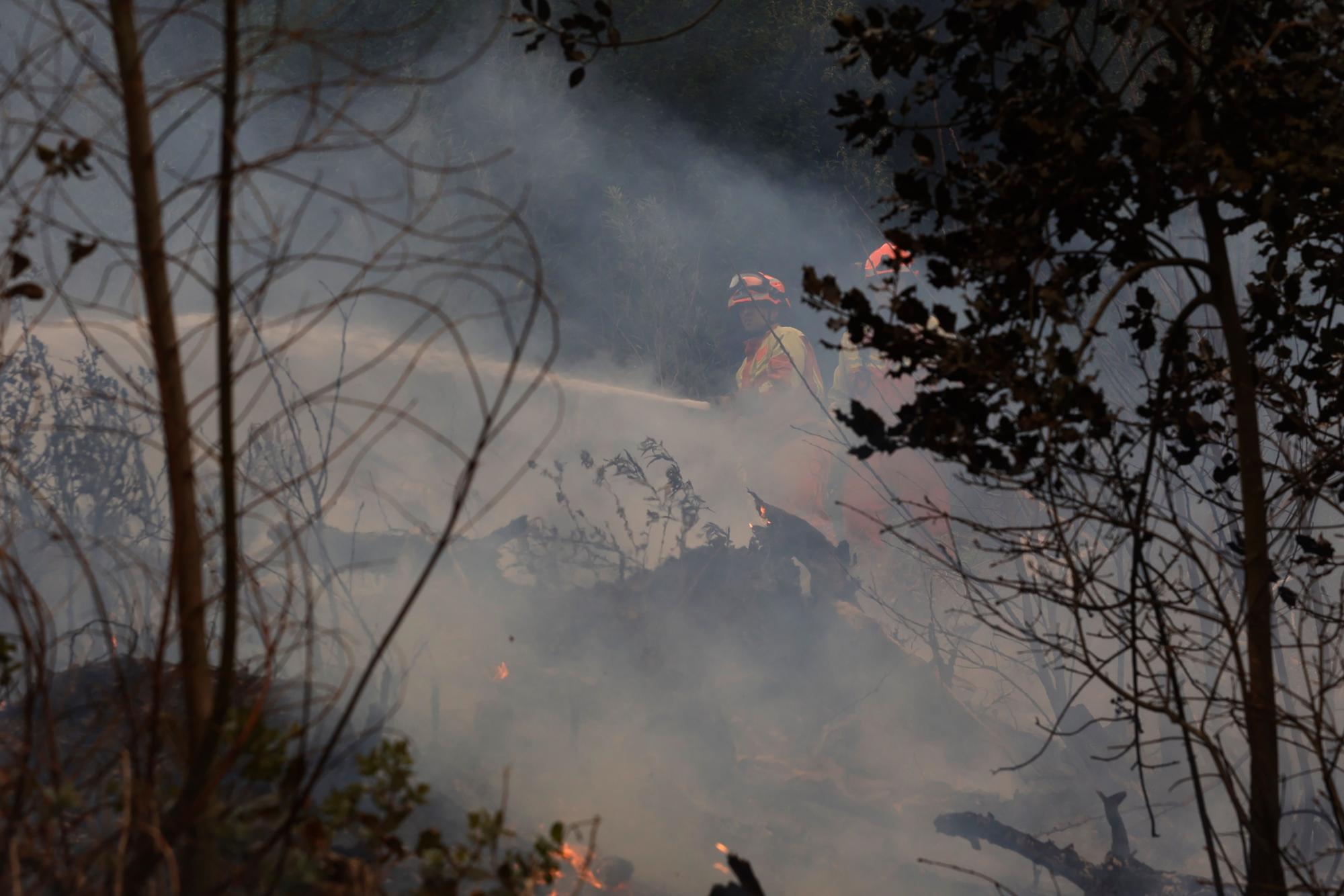 Dura lucha contra los incendios de Tineo y Valdés