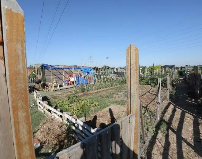 Las listas de espera llegan a los huertos urbanos de Zaragoza