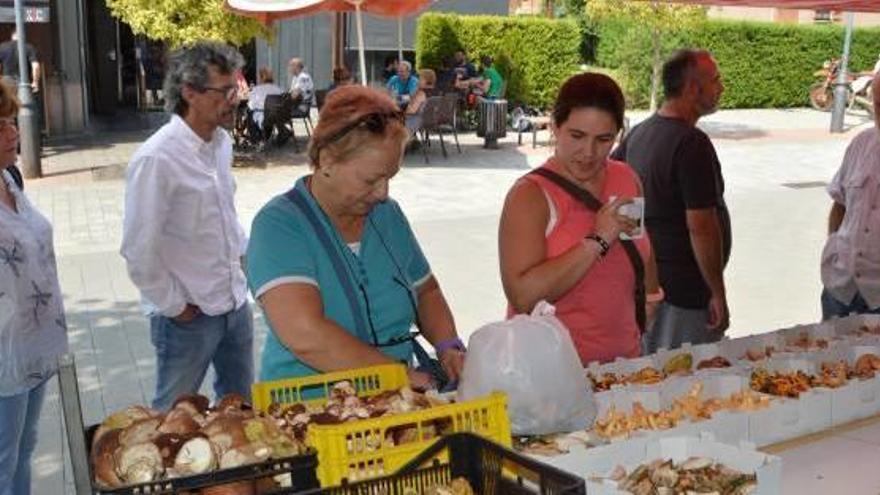 Possibles clients observant les caixetes de bolets d&#039;una parada del mercat de Cal Rosal ahir