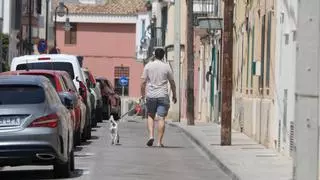 Palma impone tres multas al día de hasta 1.500 euros por no diluir los orines de los perros o no recoger los excrementos