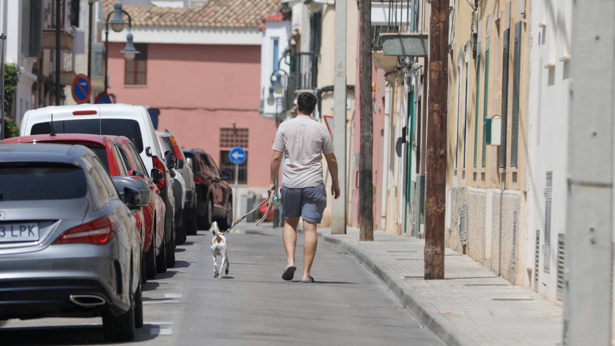 Un hombre pasea con su perro en Palma.