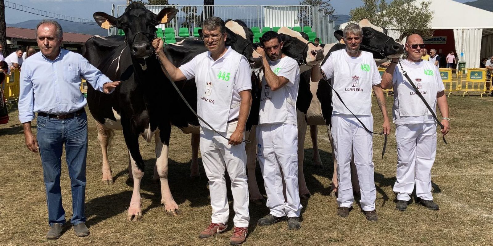 José Ramón Badiola, a la izquierda, junto a su hijo Paulino y otros tres trabajadores de su ganadería, con las cuatro vacas que obtuvieron el mejor lote de cuatro de frisonas. | A. L. 