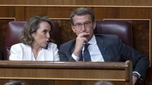 La secretaria general del Partido Popular (PP), Cuca Gamarra, y el presidente del PP, Alberto Núñez Feijóo, en un pleno del Congreso.