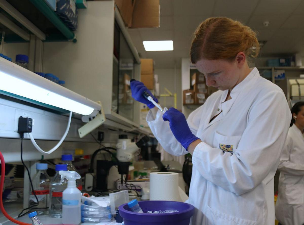 Es duplica la inversió en biotecnologia i tecnologia mèdica Es duplica la inversió en biotecnologia i tecnologia mèdica