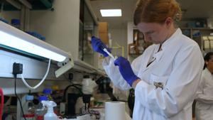 Es duplica la inversió en biotecnologia i tecnologia mèdica