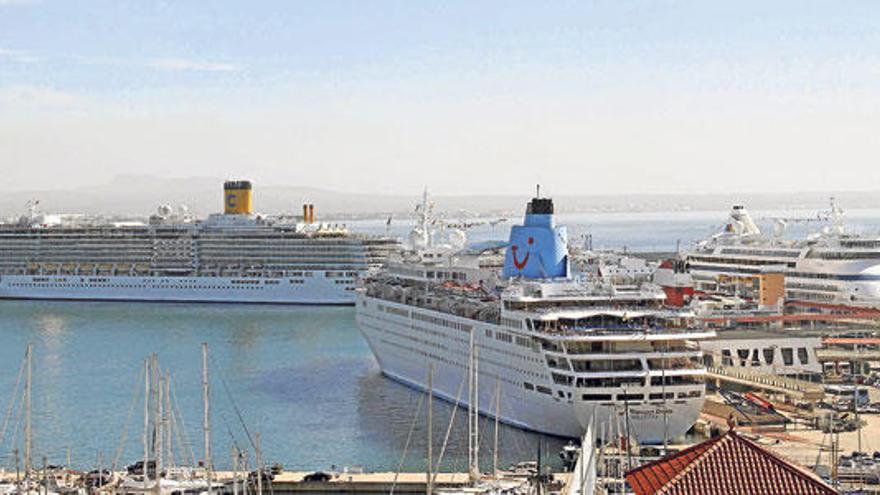 Sechs große Pötte gleichzeitig im Hafen von Palma de Mallorca