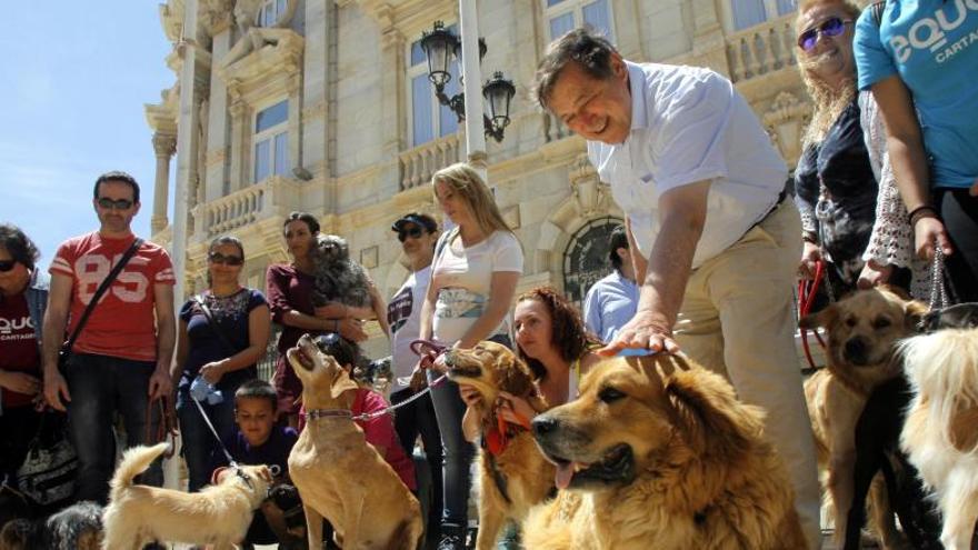 Los manifestantes acudieron con sus mascotas a la plaza del Ayuntamiento.