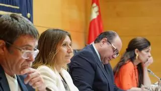 Castilla y León incrementará el limite de renta para acceder a libros de texto gratis