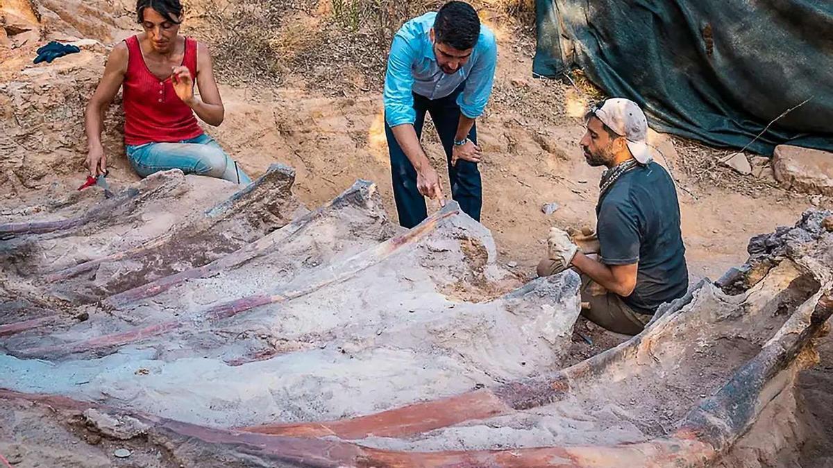 El esqueleto de dinosaurio descubierto en Portugal y el equipo de paleontología.