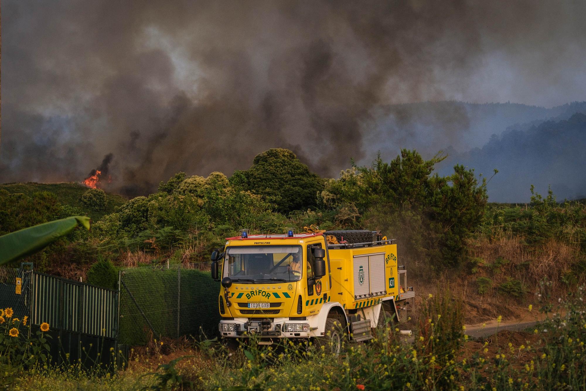 El incendio forestal de Tenerife, en imágenes