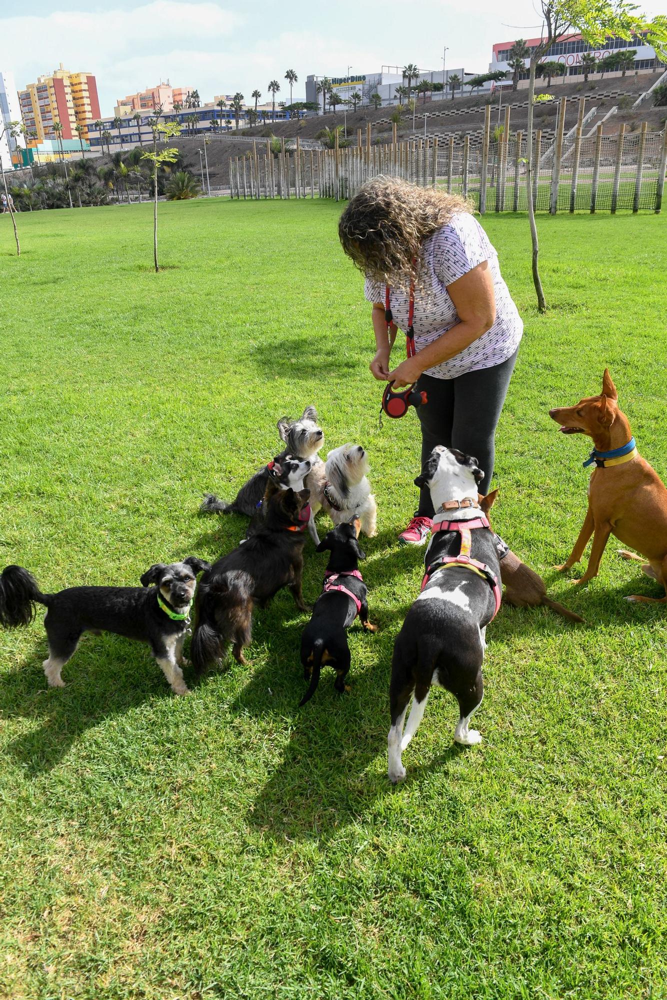 Jornada de domingo en el parque de La Ballena