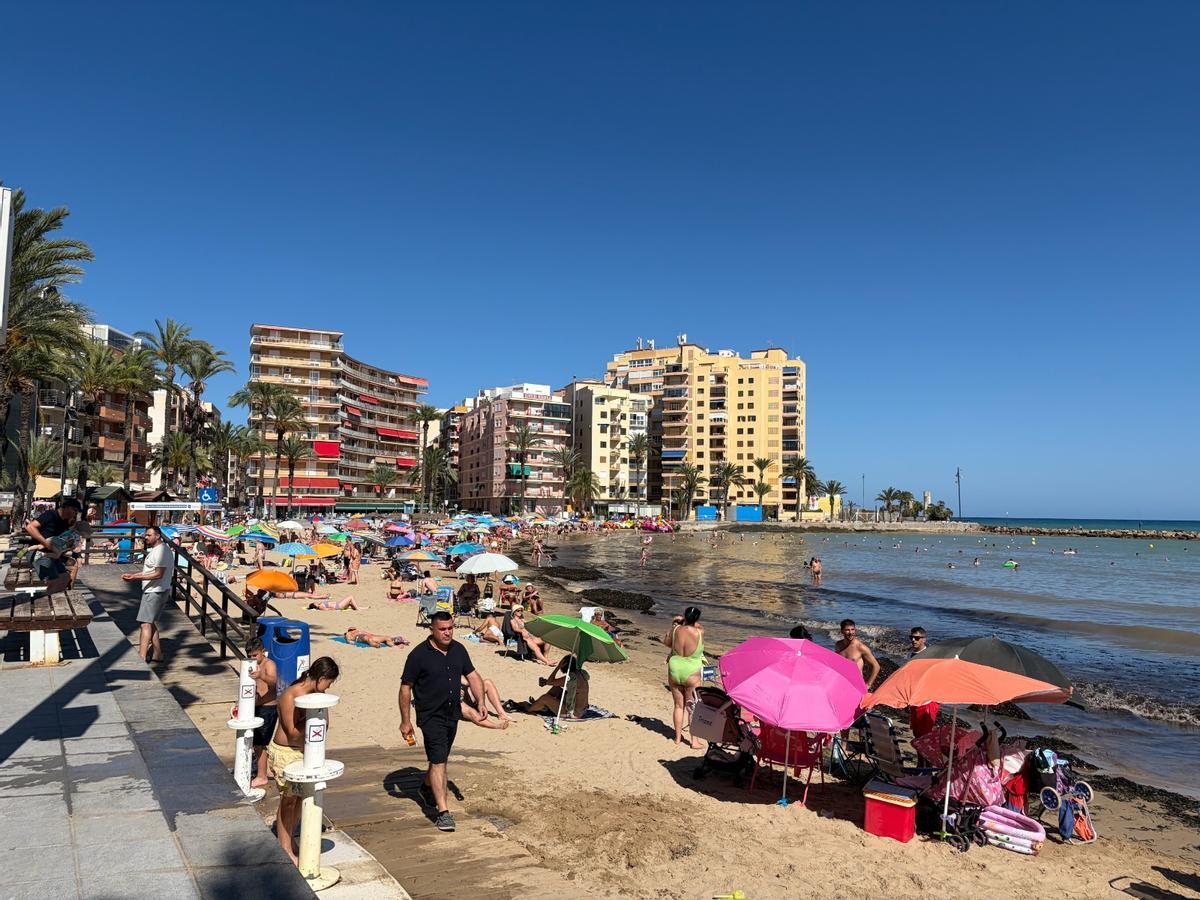 La playa del Cura de Torrevieja llena y sin servicio de socorrismo el pasado viernes