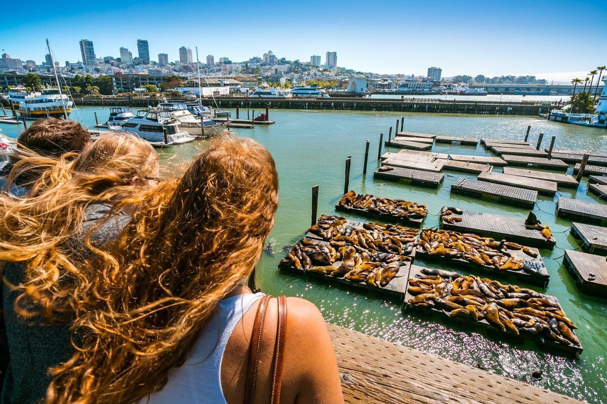 Focas en Fisherman’s Wharf en San Francisco
