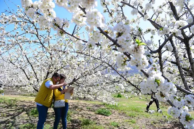 Los bonos turísticos de Extremadura solo agotan el 42% de los fondos disponibles
